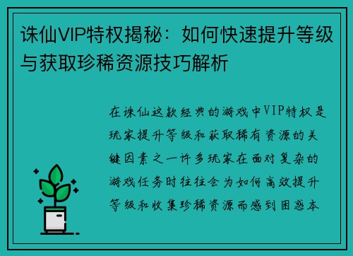 诛仙VIP特权揭秘：如何快速提升等级与获取珍稀资源技巧解析